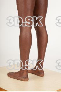 Leg texture of Virgil 0005